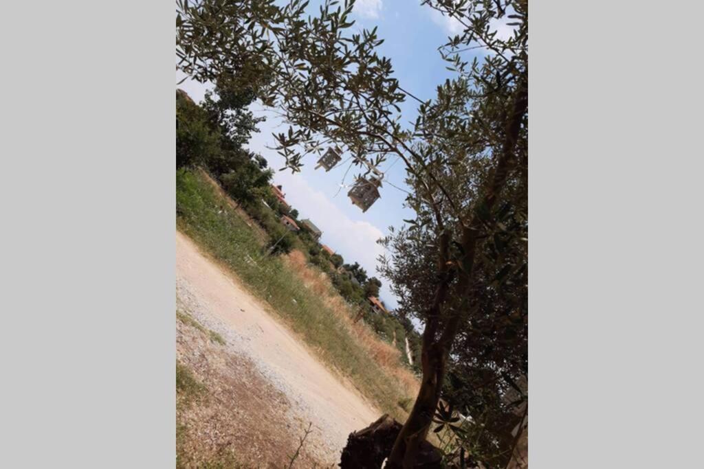 Georgia'S Apartment Palioura Εξωτερικό φωτογραφία